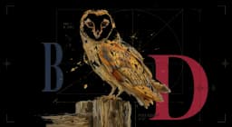 Barn Owl perched on a weathered barn beam in side profile, heart-shaped white face and tawny wings, watercolor on warm parchment