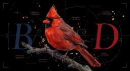 Northern Cardinal perched on a bare branch in side profile, brilliant red plumage and crest, watercolor on warm parchment