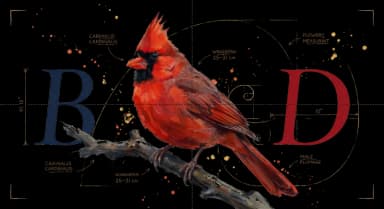 Northern Cardinal perched on a bare branch in side profile, brilliant red plumage and crest, watercolor on warm parchment