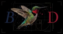 Ruby-throated Hummingbird perched on a thin branch in side profile, iridescent green back and ruby throat, watercolor on warm parchment