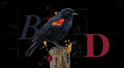 Red-winged Blackbird perched on a cattail in side profile, red and yellow shoulder patches visible, watercolor on warm parchment